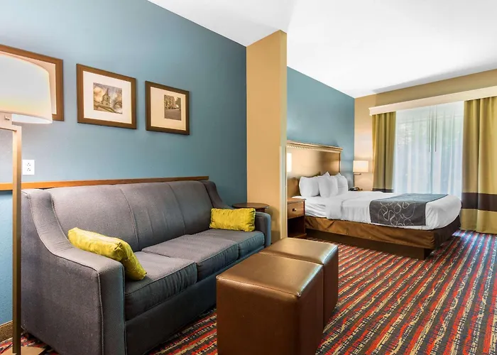 Hotel Comfort Saint Louis 3*
