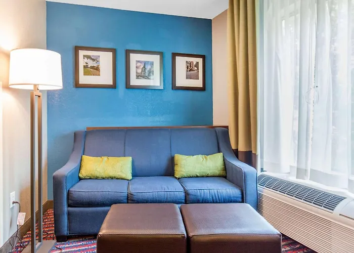 Hotel Comfort Saint Louis 3*