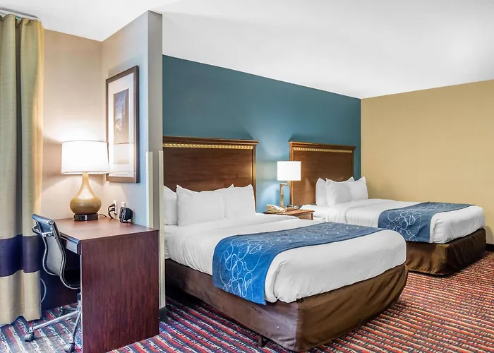 Comfort Saint Louis 3*