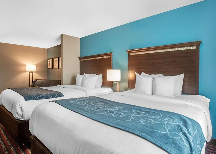 Comfort Saint Louis Hotel Fairview Heights