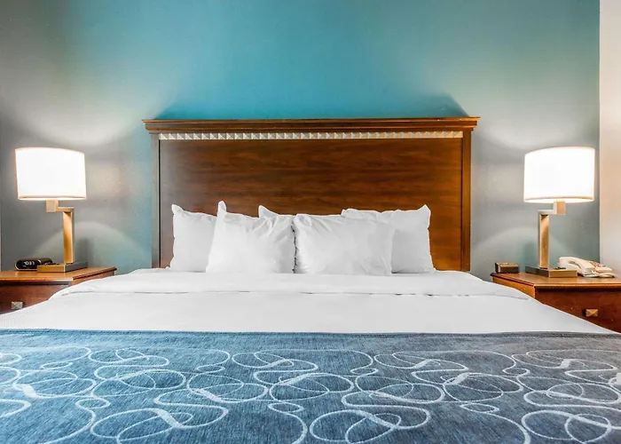 Hotel Comfort Saint Louis 3*