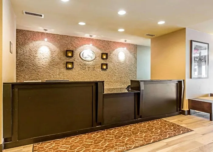 Comfort Saint Louis Hotel Fairview Heights