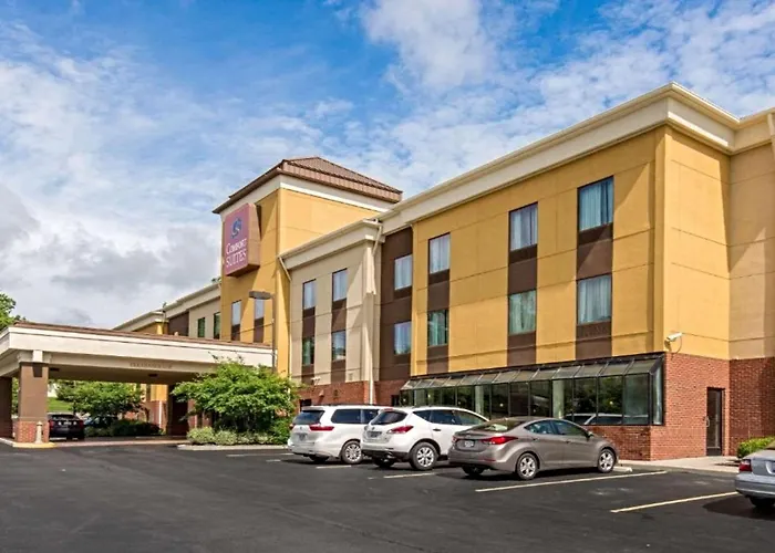 Comfort Saint Louis