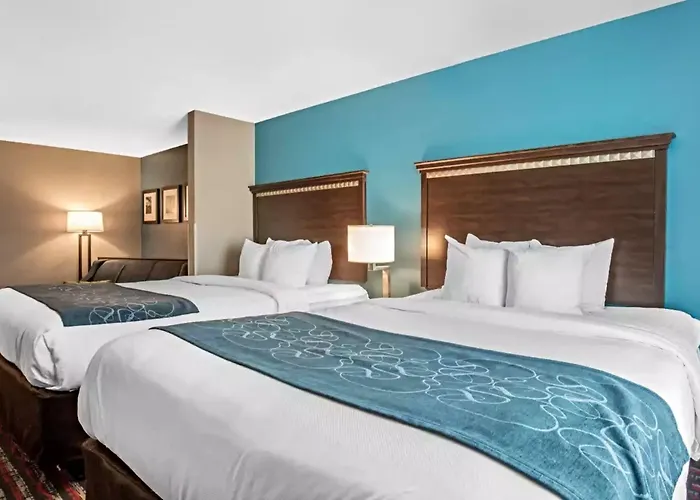 Comfort Saint Louis Hotel