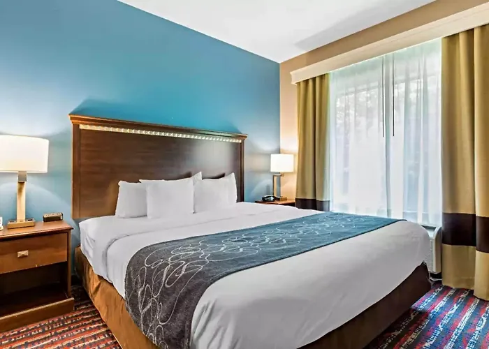 Comfort Saint Louis Hotel 3*